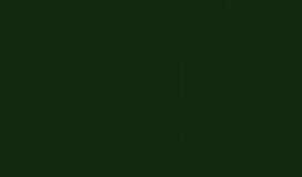 13c vert